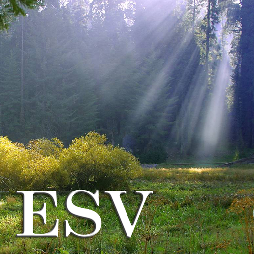 ESV icon