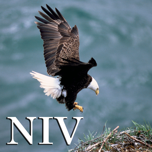 NIV icon